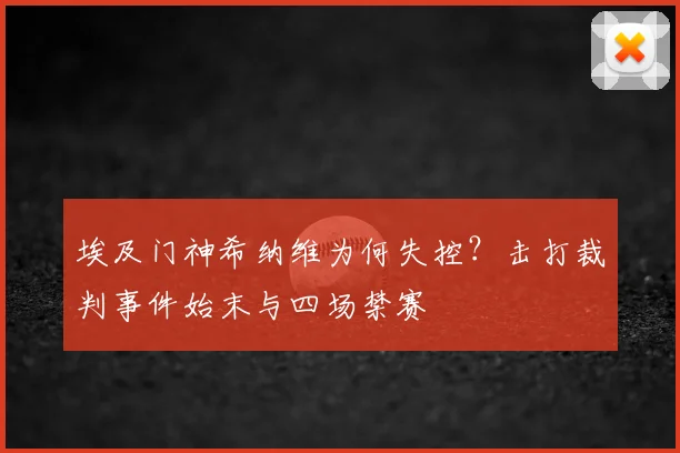 埃及门神希纳维为何失控？击打裁判事件始末与四场禁赛
