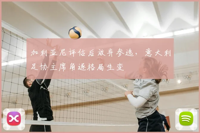 加利亚尼评估后放弃参选，意大利足协主席角逐格局生变