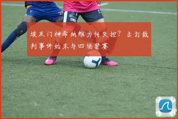 埃及门神希纳维为何失控？击打裁判事件始末与四场禁赛