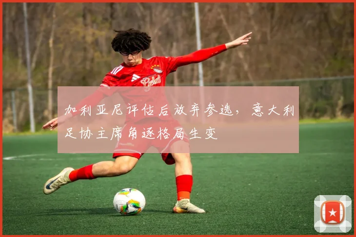 加利亚尼评估后放弃参选，意大利足协主席角逐格局生变
